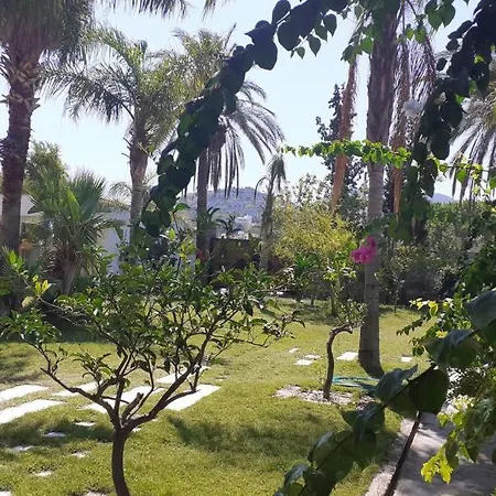 Yalikavak Marina Bodrum